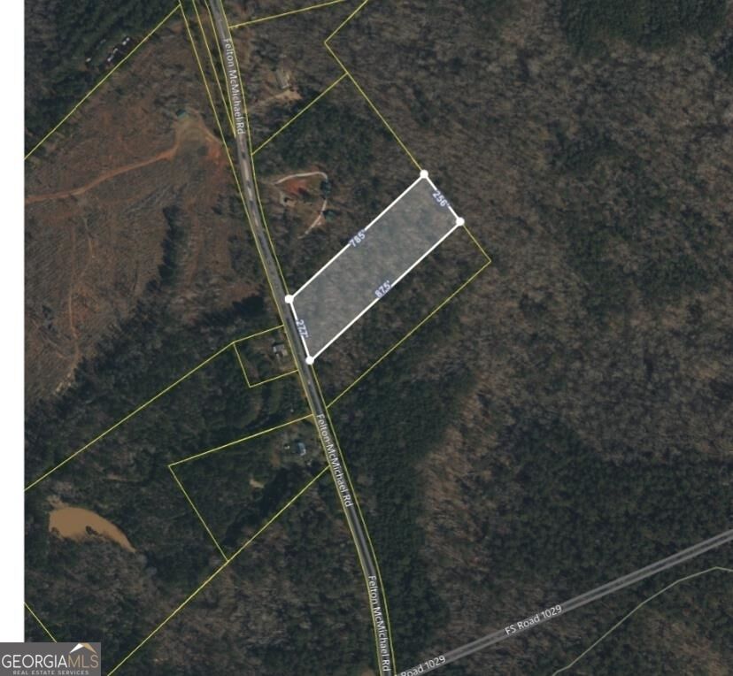 Property Photo: 0 Felton McMichael Road GA 31064