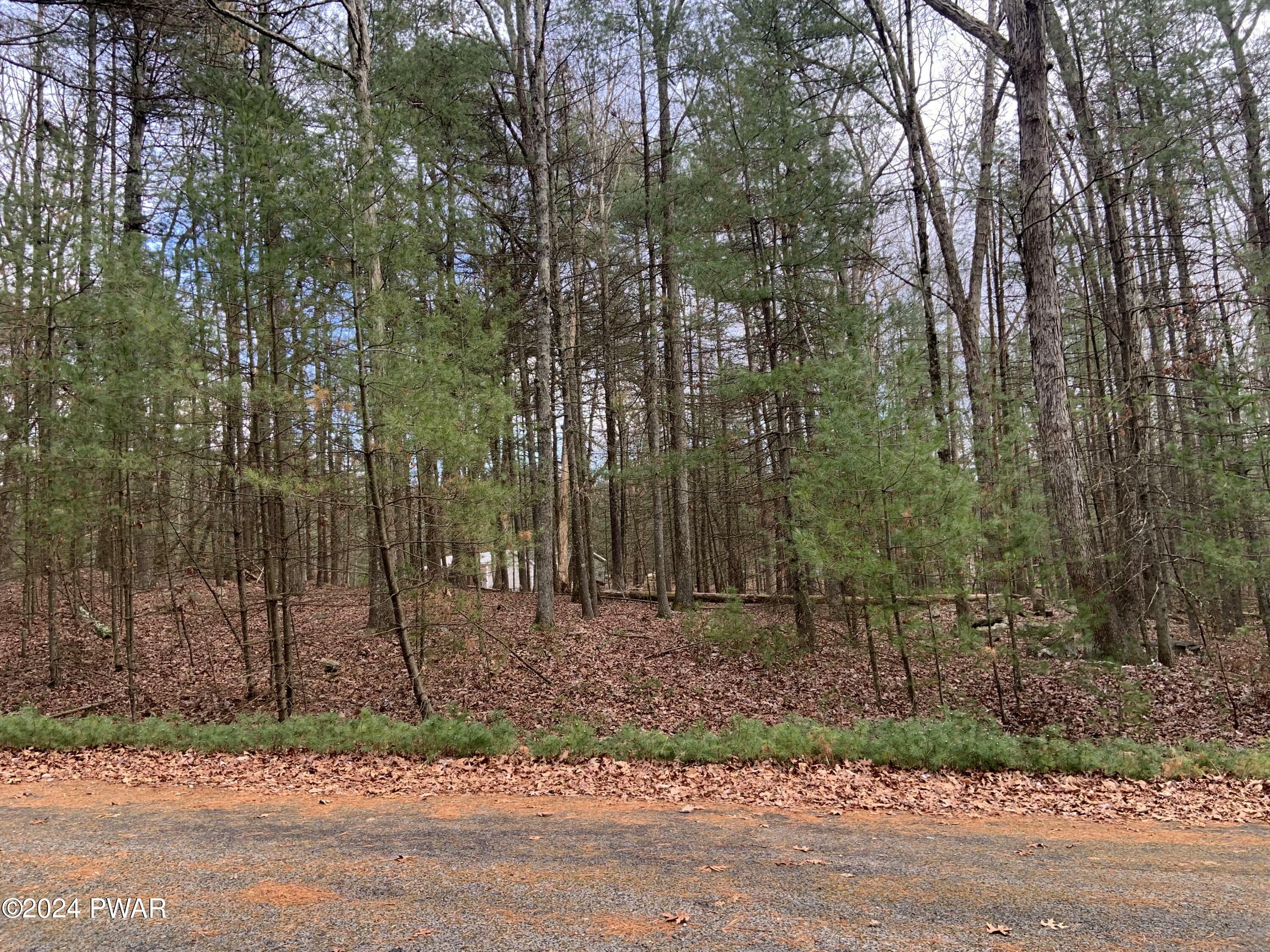 Property Photo:  Lot 1 Billy Lane  PA 18464 