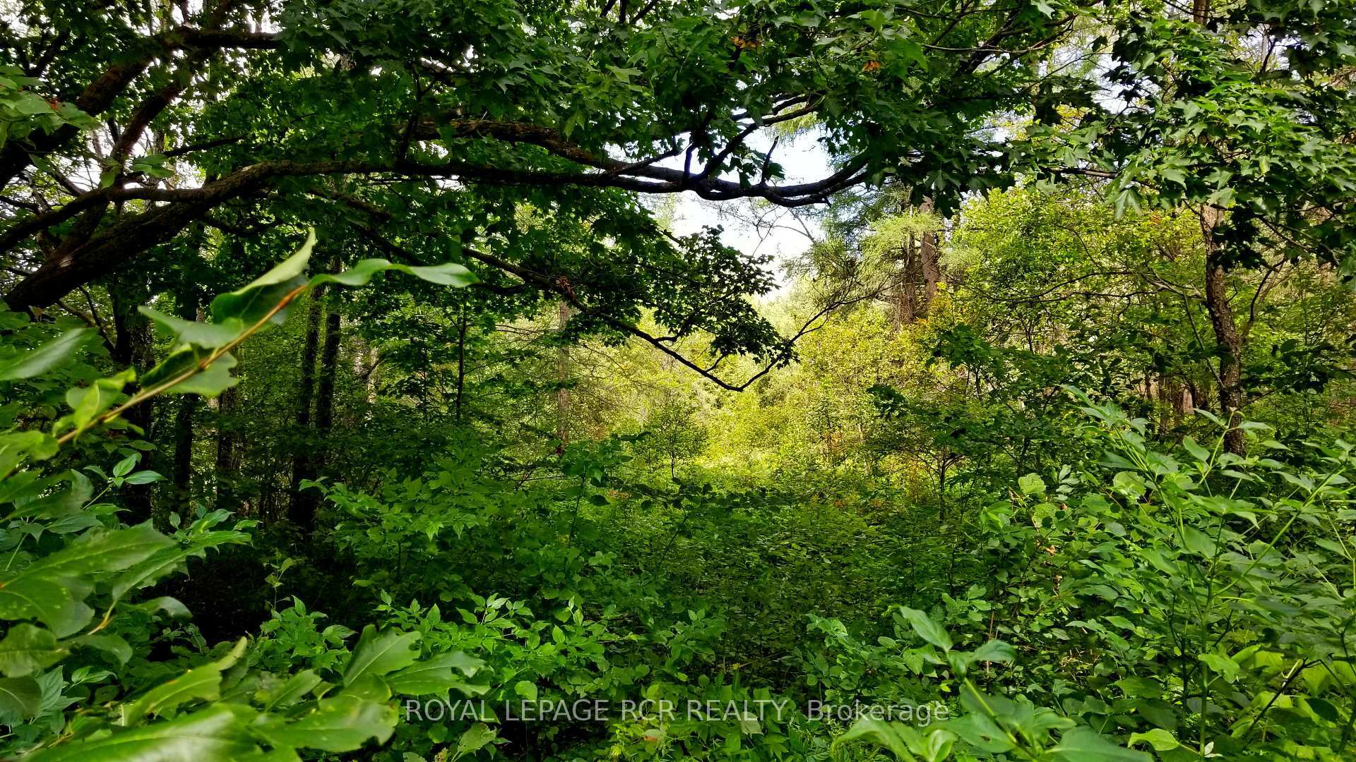 Photo de la propriété:  Lot 31 9 County Rd  ON N0C 1B0 