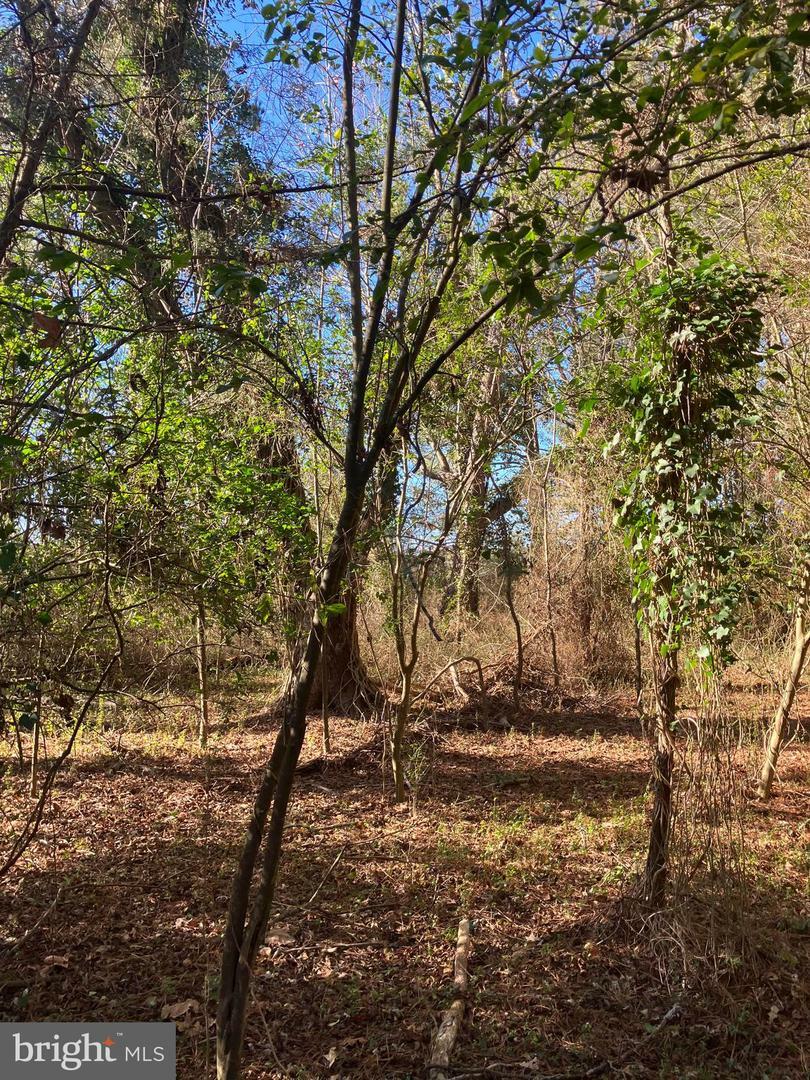 Property Photo:  Lot 11 Davis Rd  MD 21838 