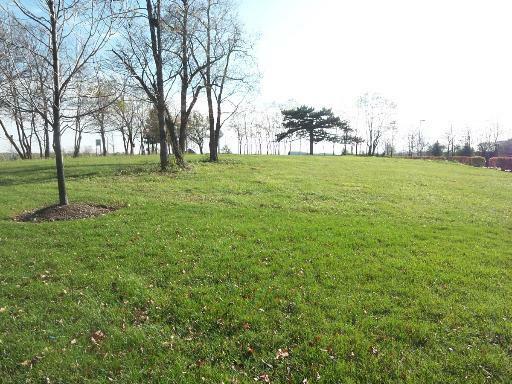 Property Photo:  Lot 2 Central Road  IL 60195 