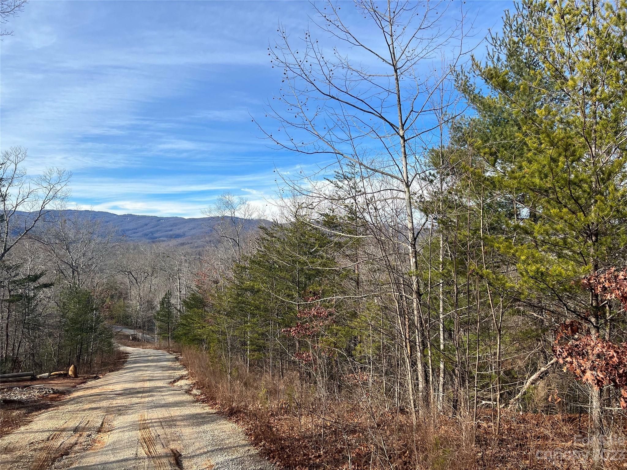 Property Photo: 00 Dobsons Knob Loop 32 NC 28752