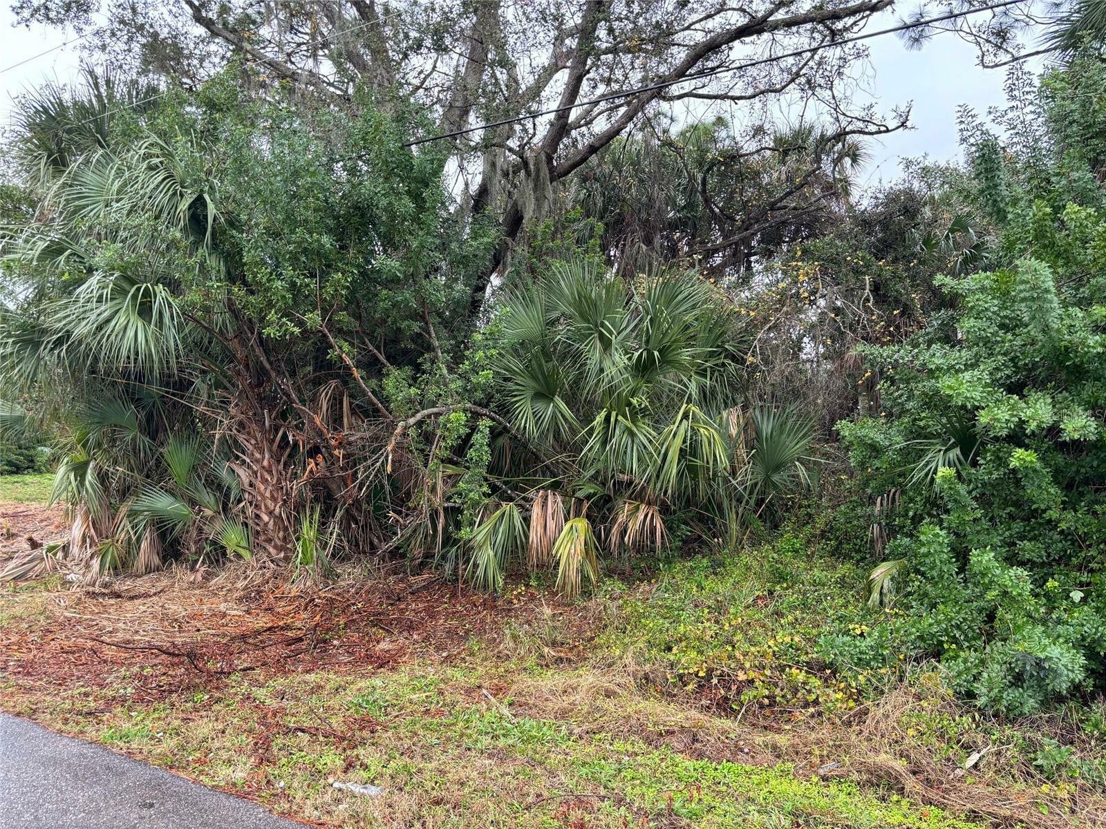 Property Photo:  Tomaso Road  FL 34287 