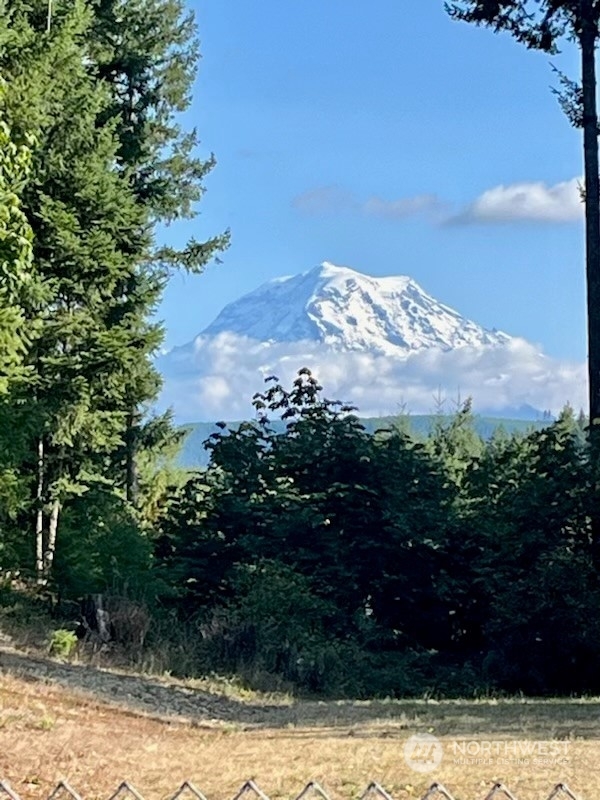 Property Photo:  17004 226th Avenue Ct E  WA 98360 