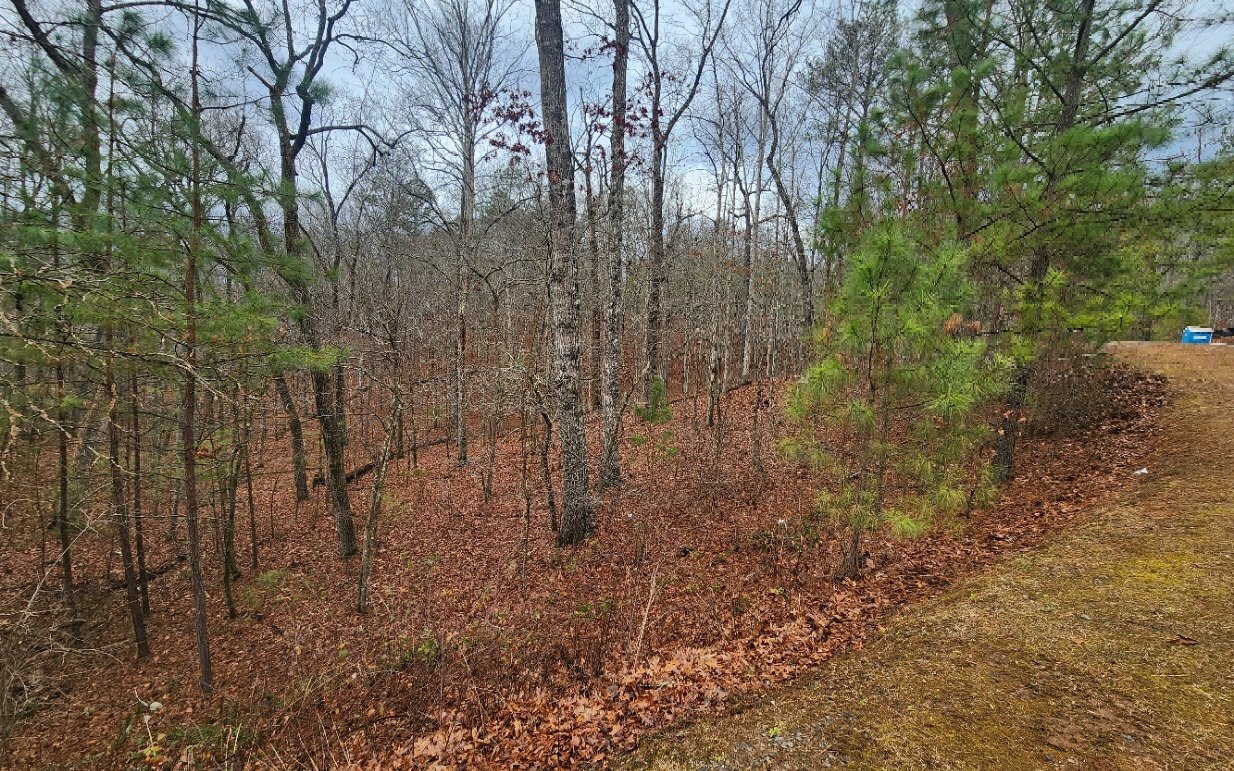 Property Photo:  Lot 9 Harris Creek Drive  GA 30540 