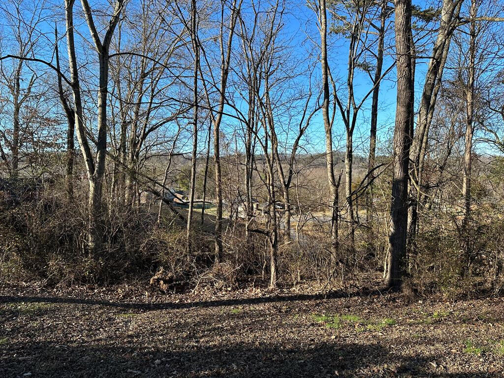 Property Photo: Cheyenne Trail TN 37865