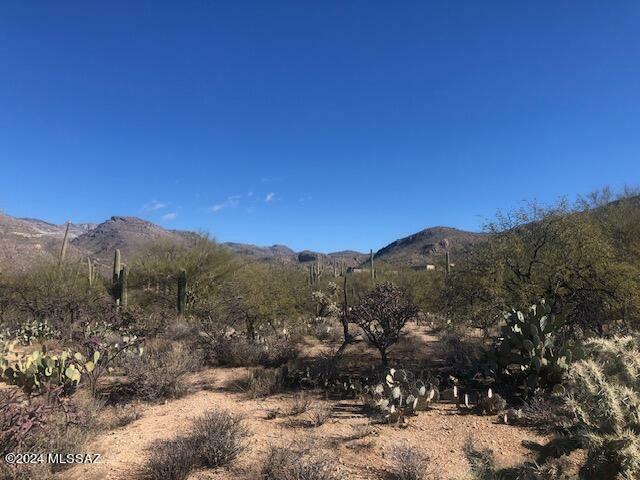 Property Photo: Tbd N Larkspur AZ 85749