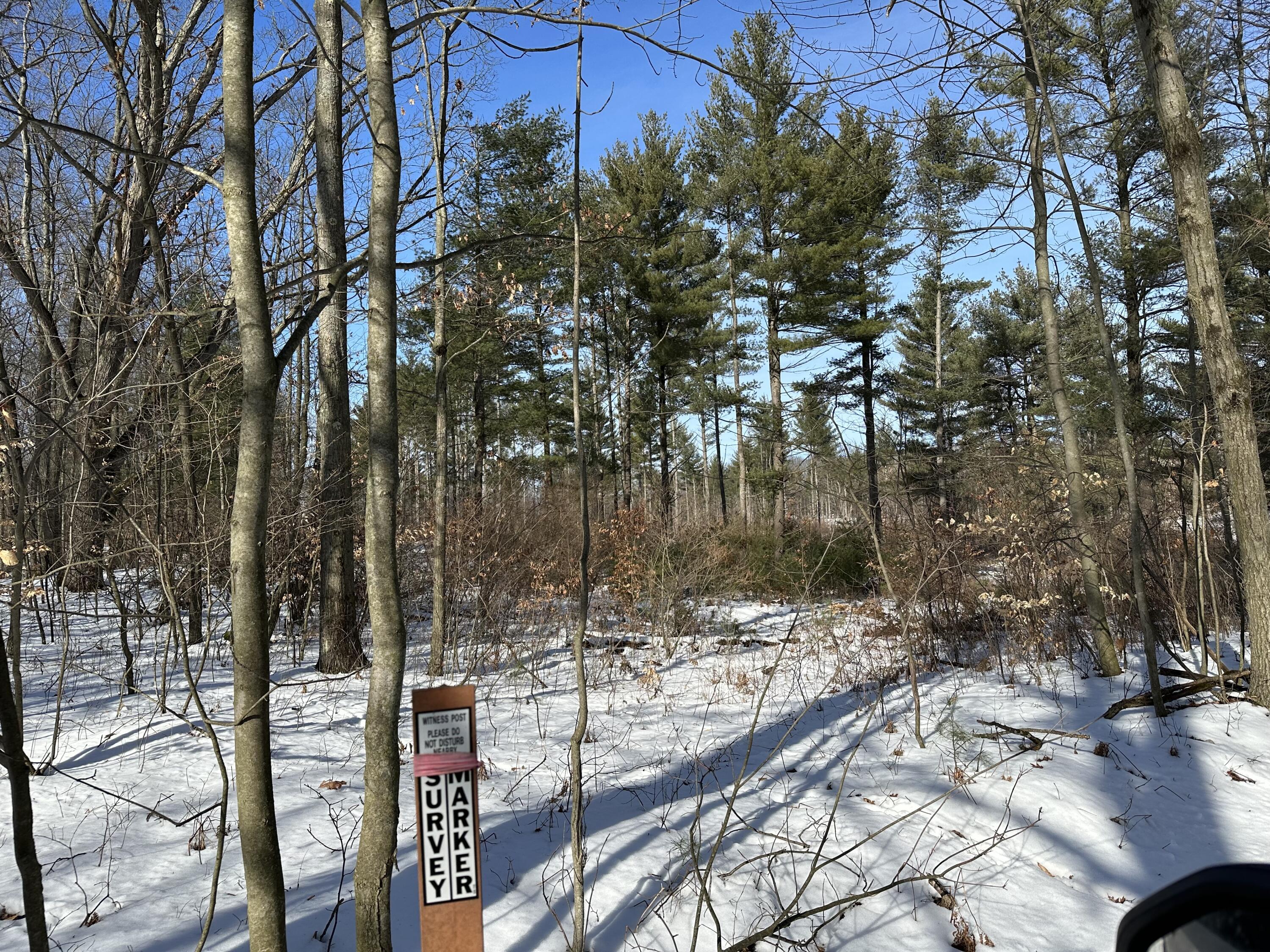 Property Photo: 4777 120th Avenue MI 49336