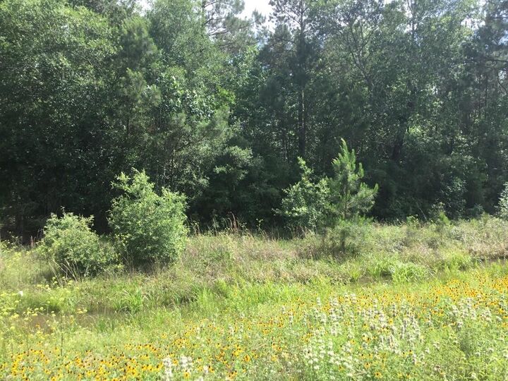 Property Photo:  0 Hwy 90  TX 77538 
