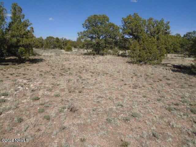 Property Photo:  913 S Kaibab Road 425  AZ 86046 