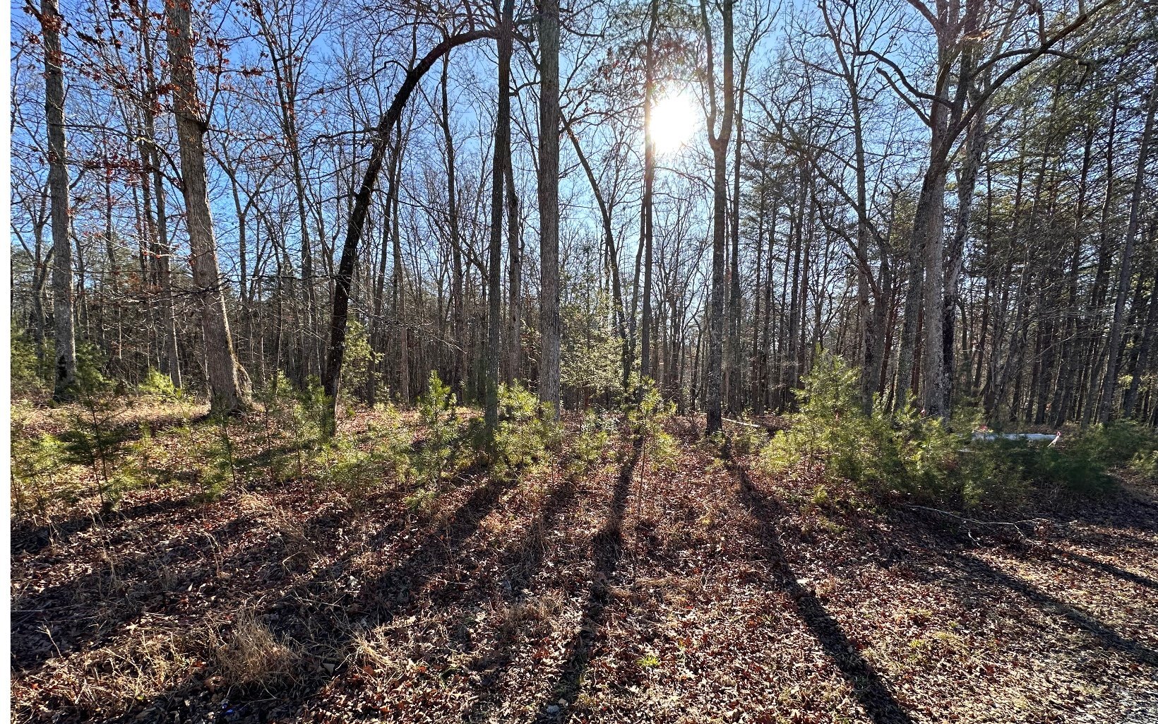 Lt 27 Fairview Drive  Morganton GA 30560 photo