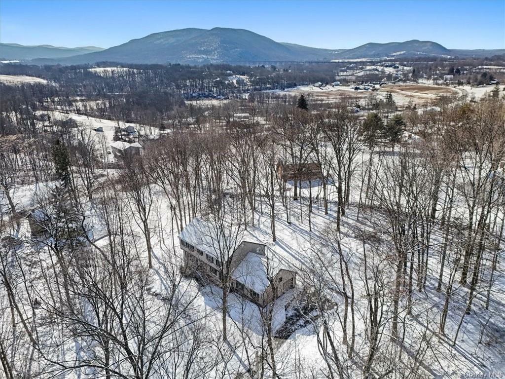 Property Photo:  301 Meadowbrook Heights Drive  NY 12553 