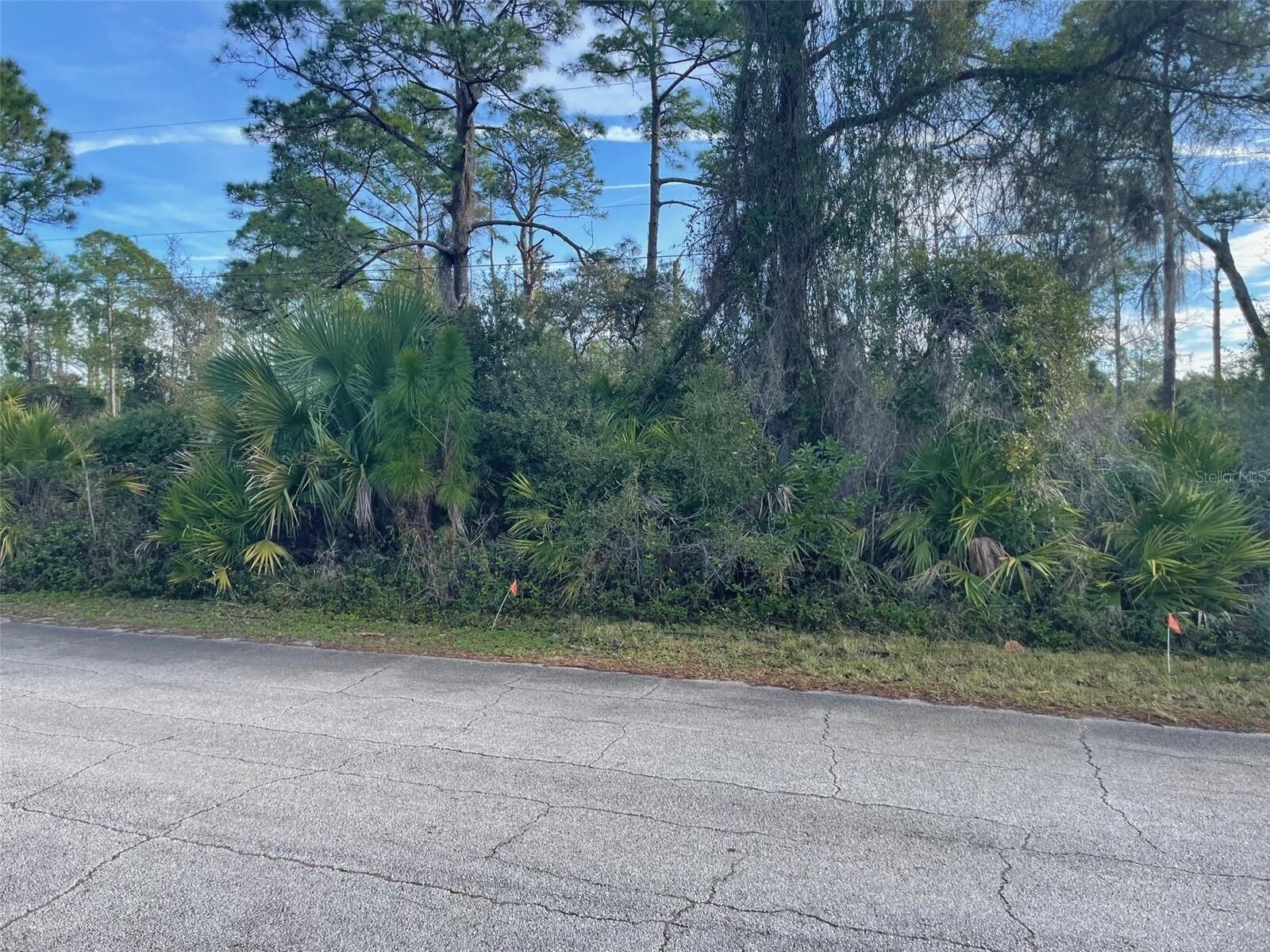Property Photo:  Tatum Boulevard  FL 32168 