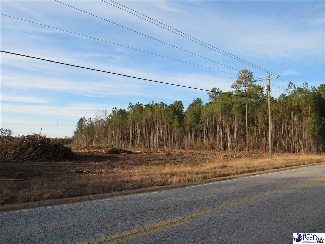 Property Photo: Tbd Tv Road SC 29501