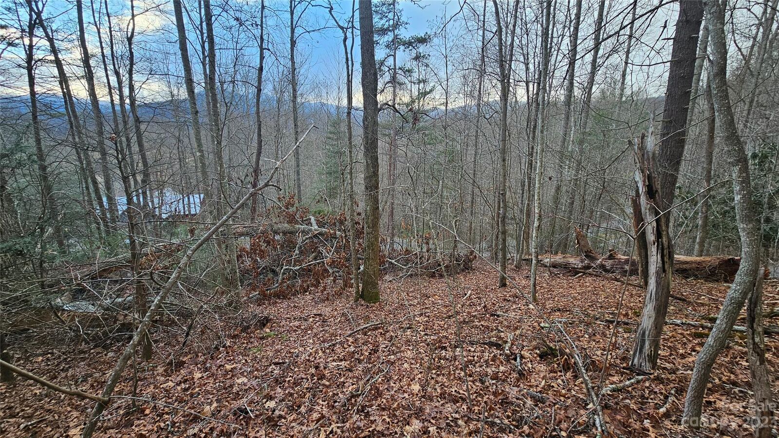Property Photo:  Lot 13 Seay Mountain Road  NC 28785 
