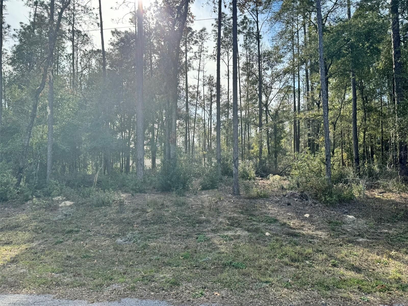 Property Photo:  10390 N Holcomb Drive  FL 34434 