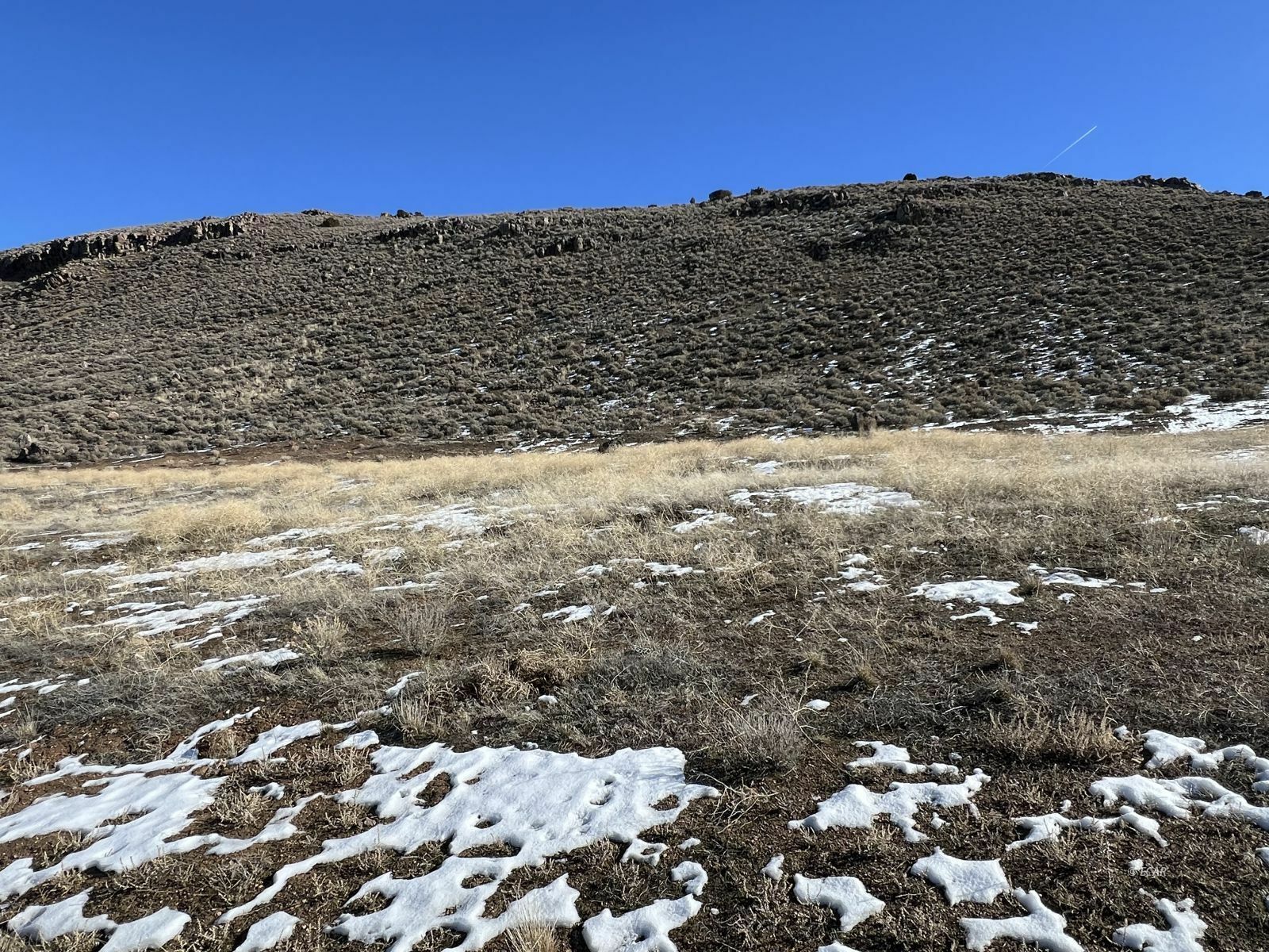 Property Photo:  Hamilton Creek Trail  NV 89801 