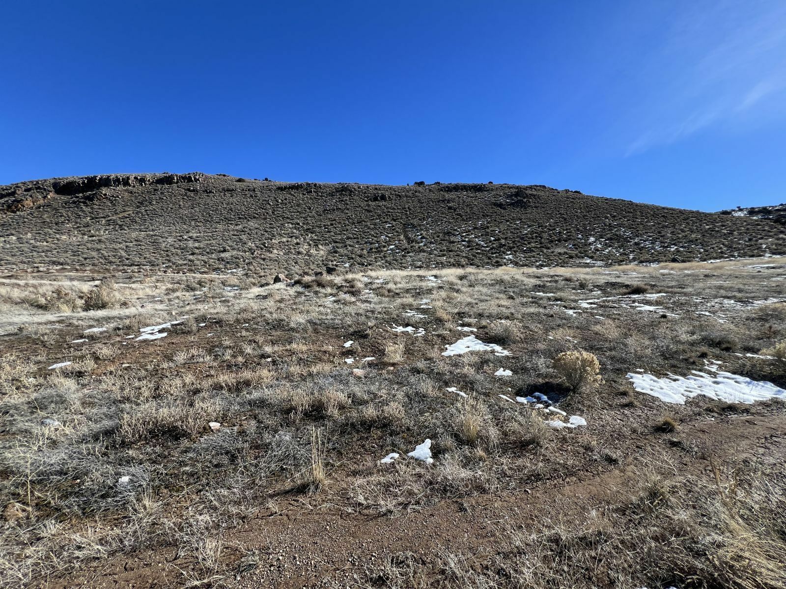 Property Photo:  Hamilton Creek Trail  NV 89801 