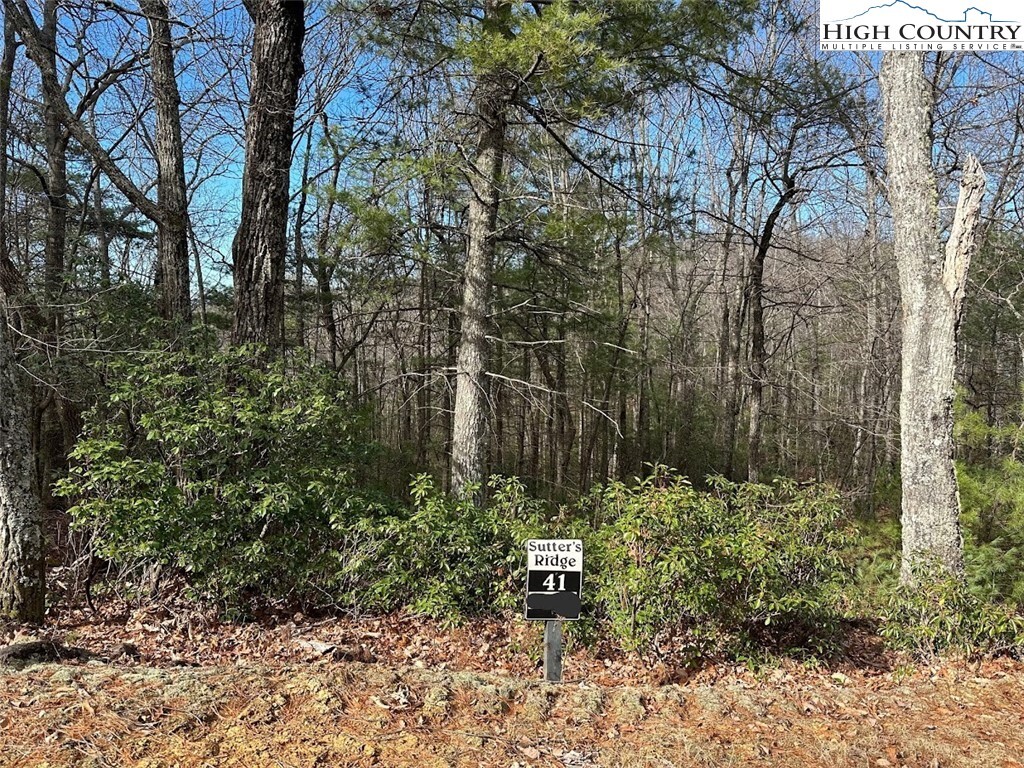 Property Photo: