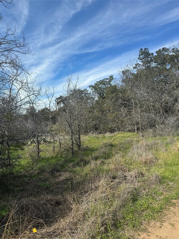 Property Photo:  Lot 7 Radium Drive  TX 78611 