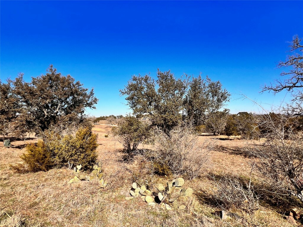 Property Photo:  106 Cactus Canyon  TX 78657 