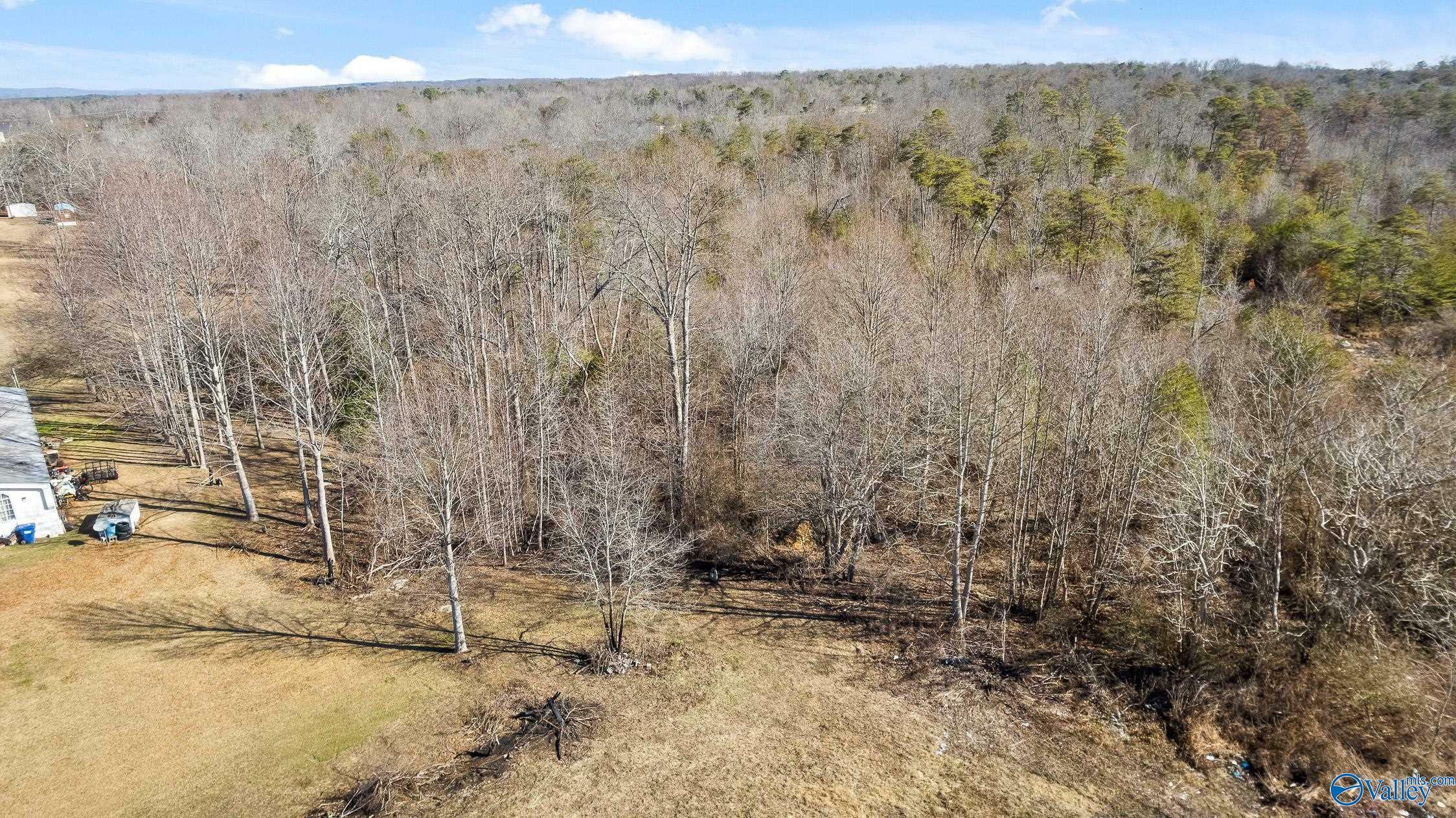 Property Photo:  Tract B County Road 784  AL 35981 