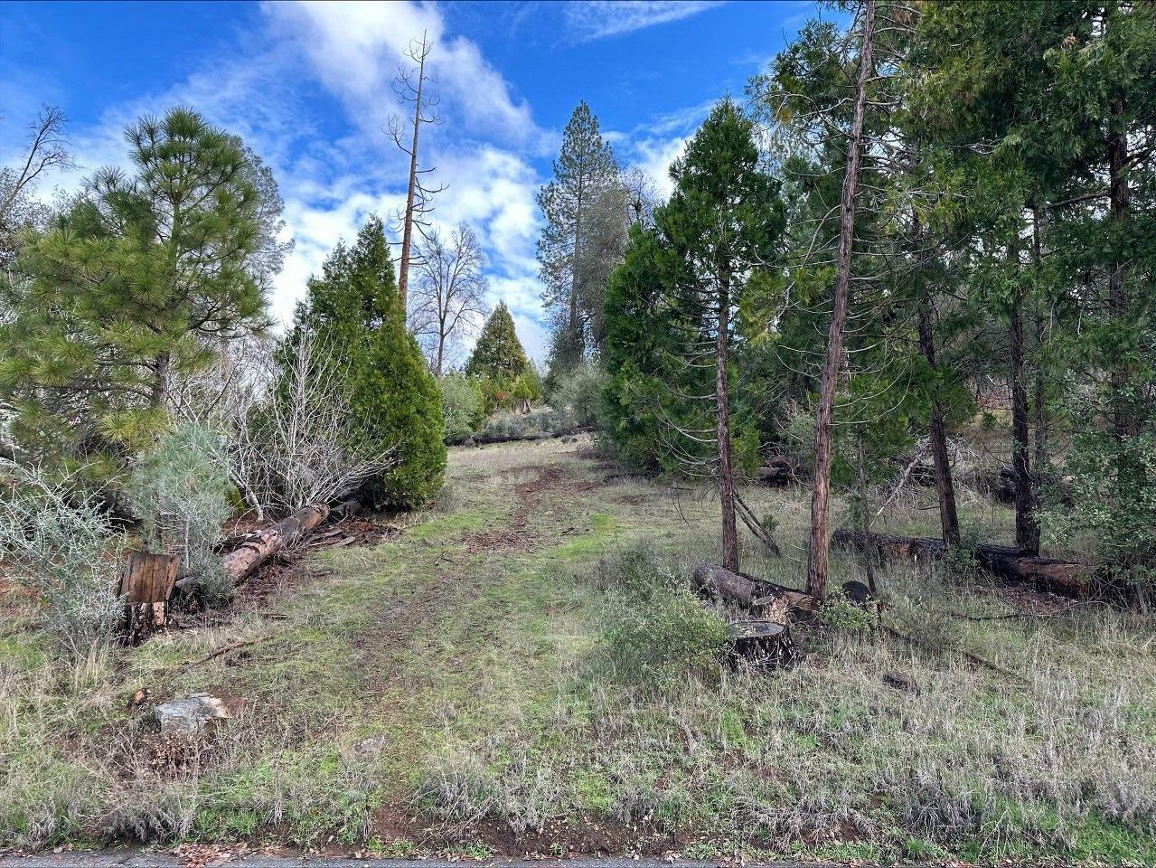 Property Photo:  0 2.01 Ac Deer Path Circle  CA 93614 