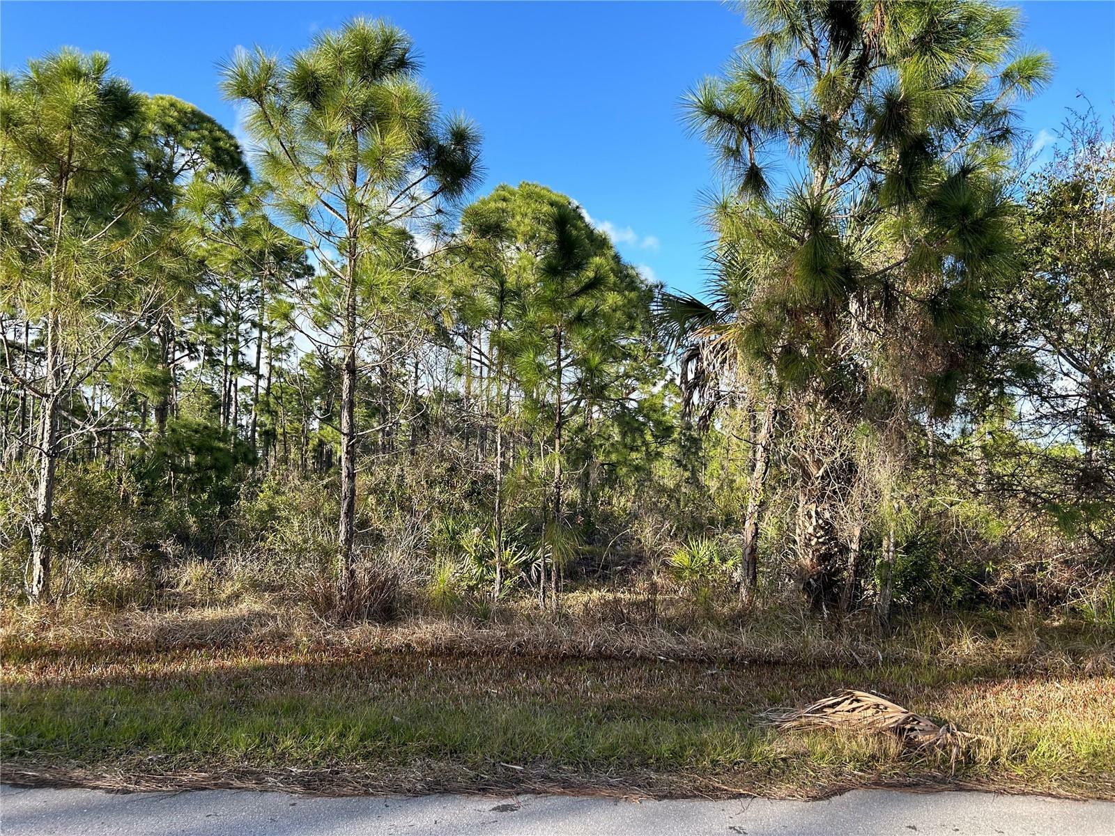 Property Photo:  13494&Amp13502 Suribachi Avenue  FL 33953 