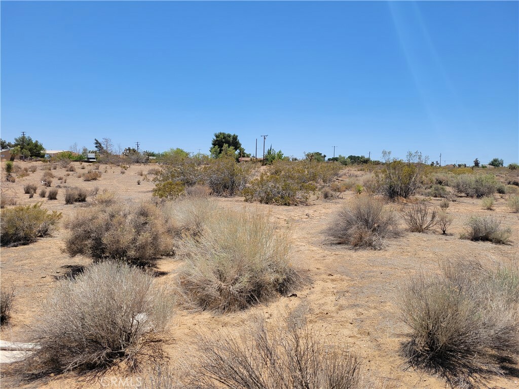 Property Photo:  9873 8th Street  CA 92392 