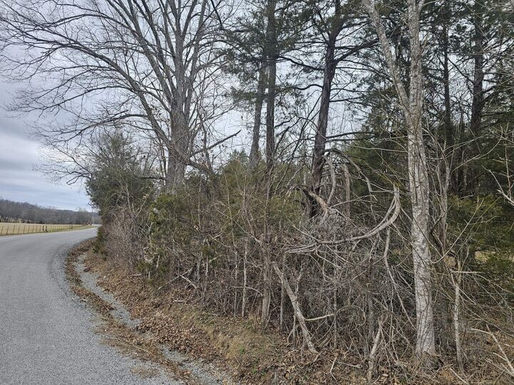 Property Photo:  1 Love Branch Rd  Tract 1  TN 38461 