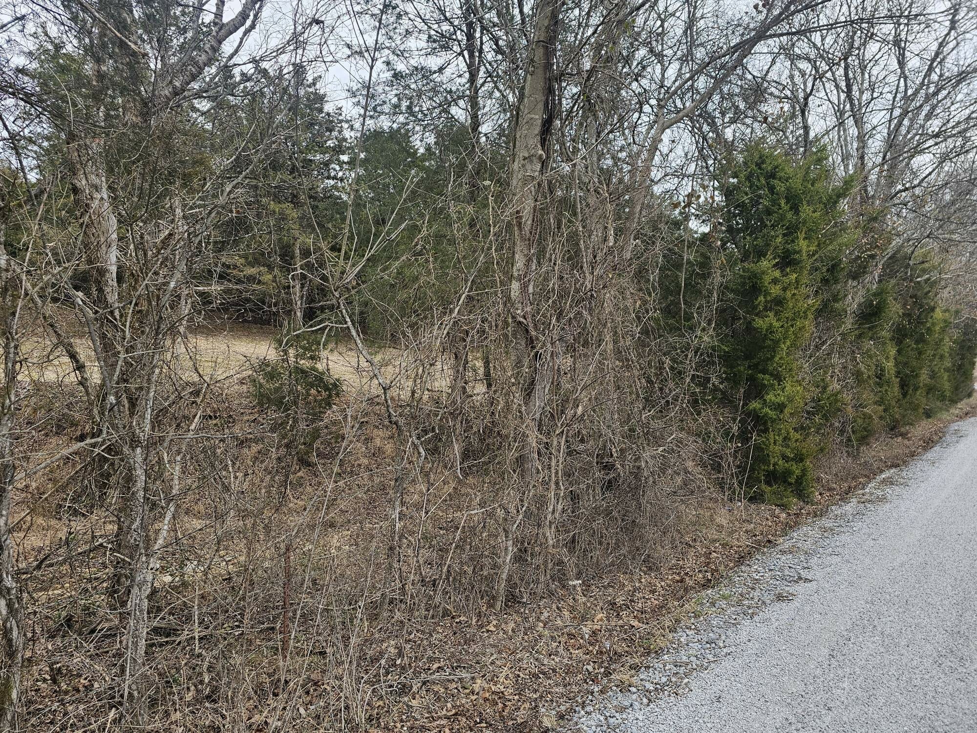 Property Photo:  2 Love Branch Rd  Tract 2  TN 38461 