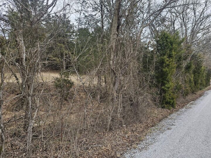 Property Photo: 2 Love Branch Rd Tract 2 TN 38461