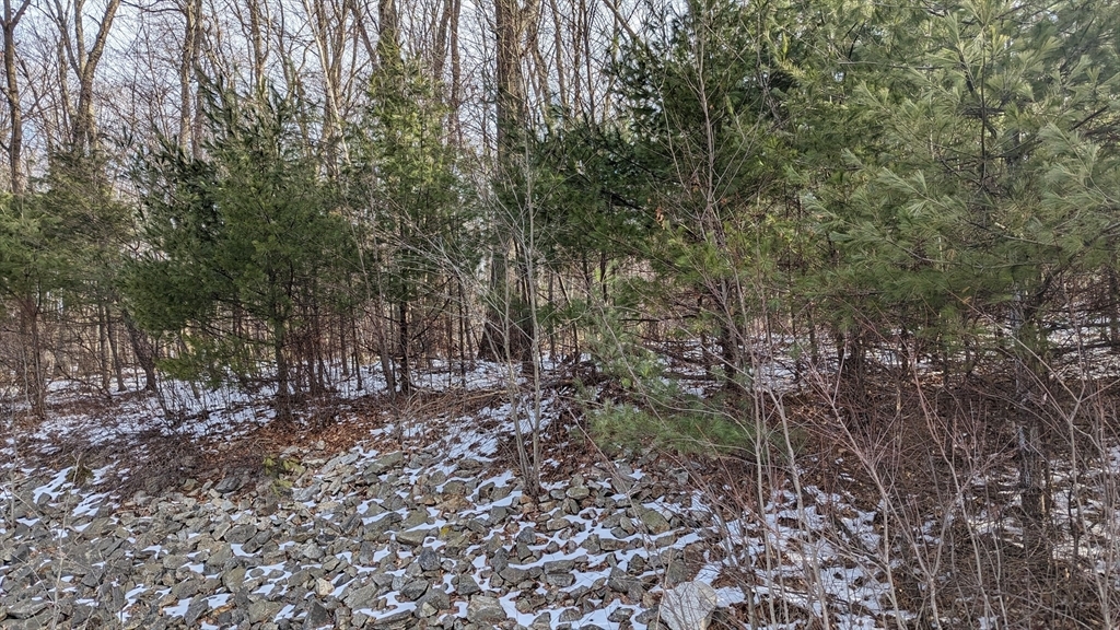 Property Photo:  Lot0 Worcester Rd  MA 01507 