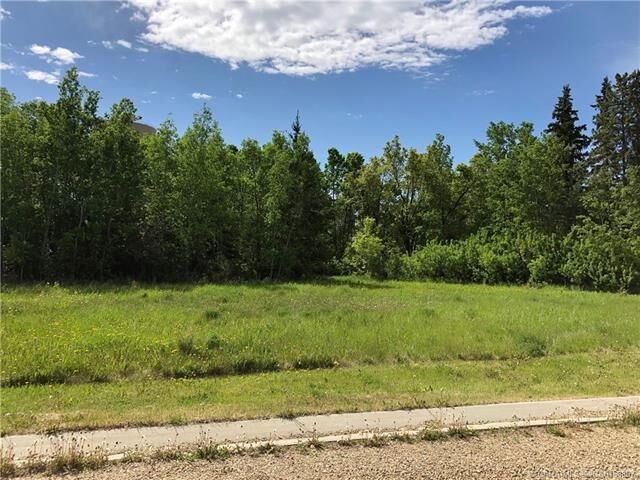 Property Photo: Lot 5 44 Avenue Close AB T0C 0B0