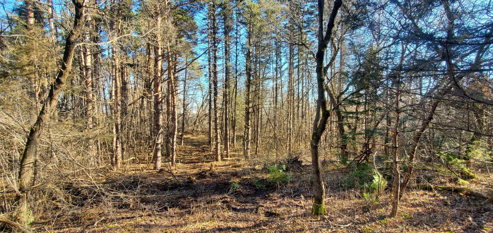 Property Photo:  Lot 2 Fox Ridge Trail  WI 54082 