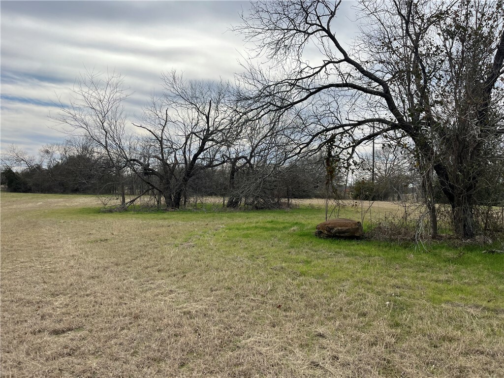 Property Photo:  Tbd Southpoint On Richland Chambers Lake  TX 75859 