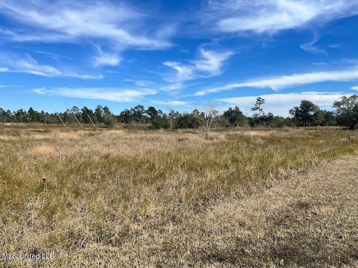 Property Photo:  Lot 61 Sugarfield Road  MS 39520 