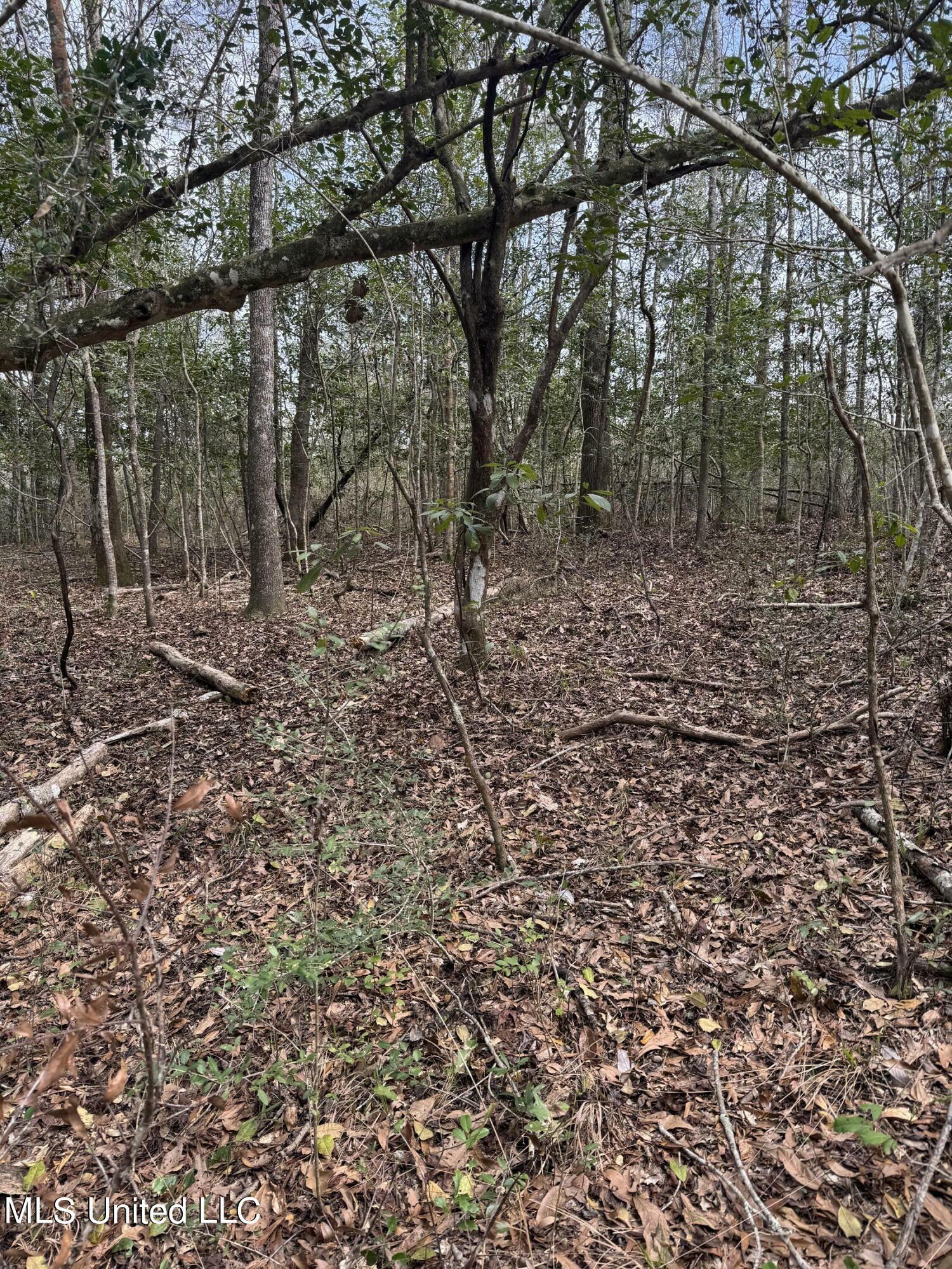 Property Photo:  Burnis Havard Road  MS 39573 