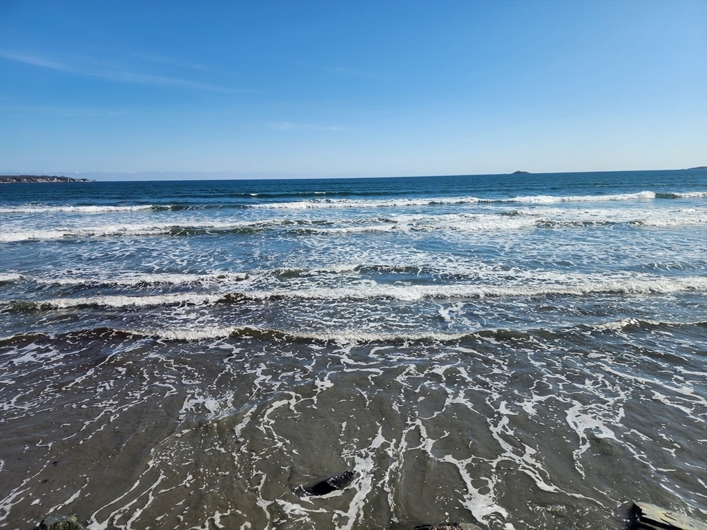 Property Photo: 281 Ocean St 2 MA 01902