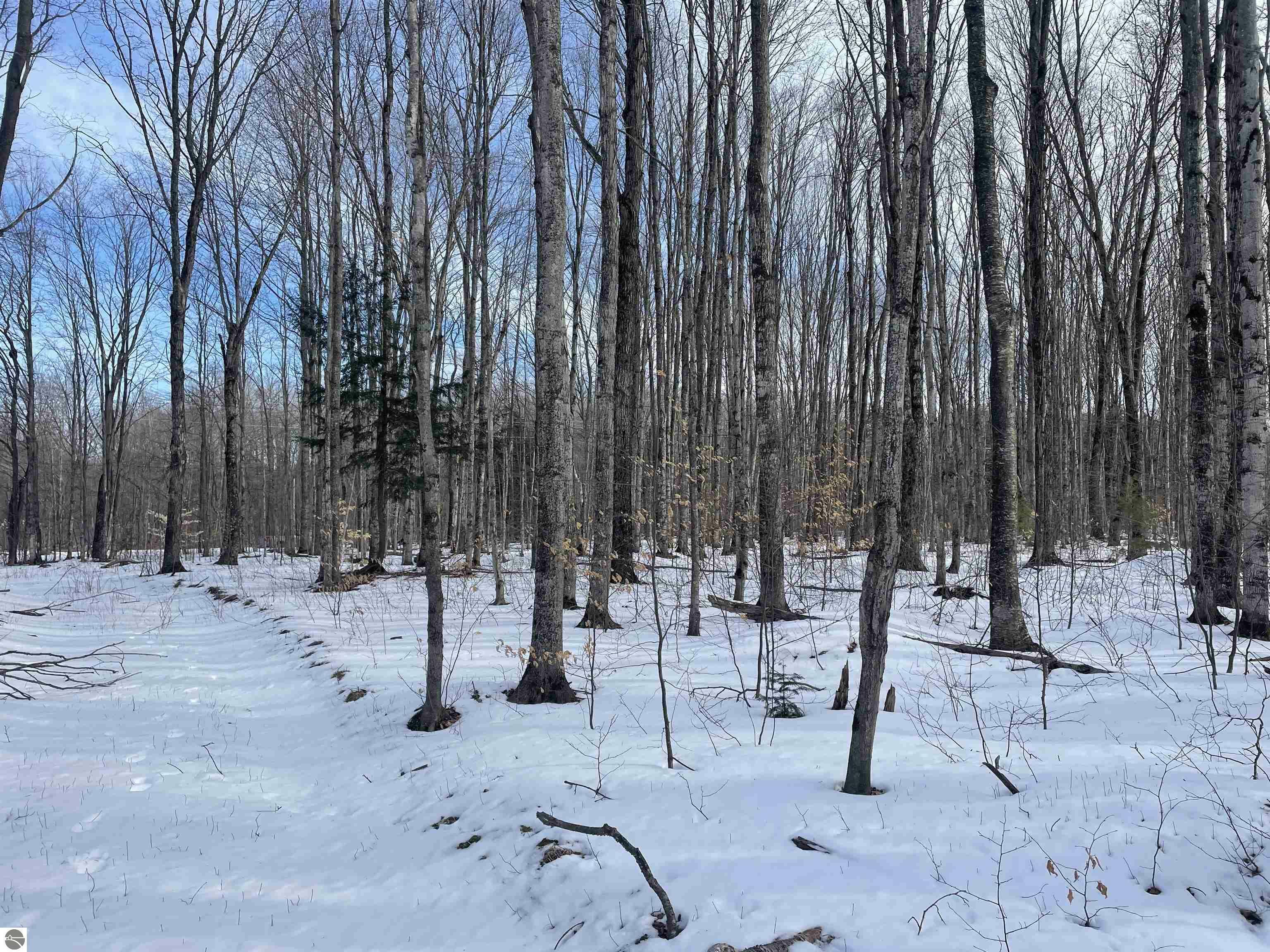 Property Photo:  0 NE Twin Lake Road  MI 49659 