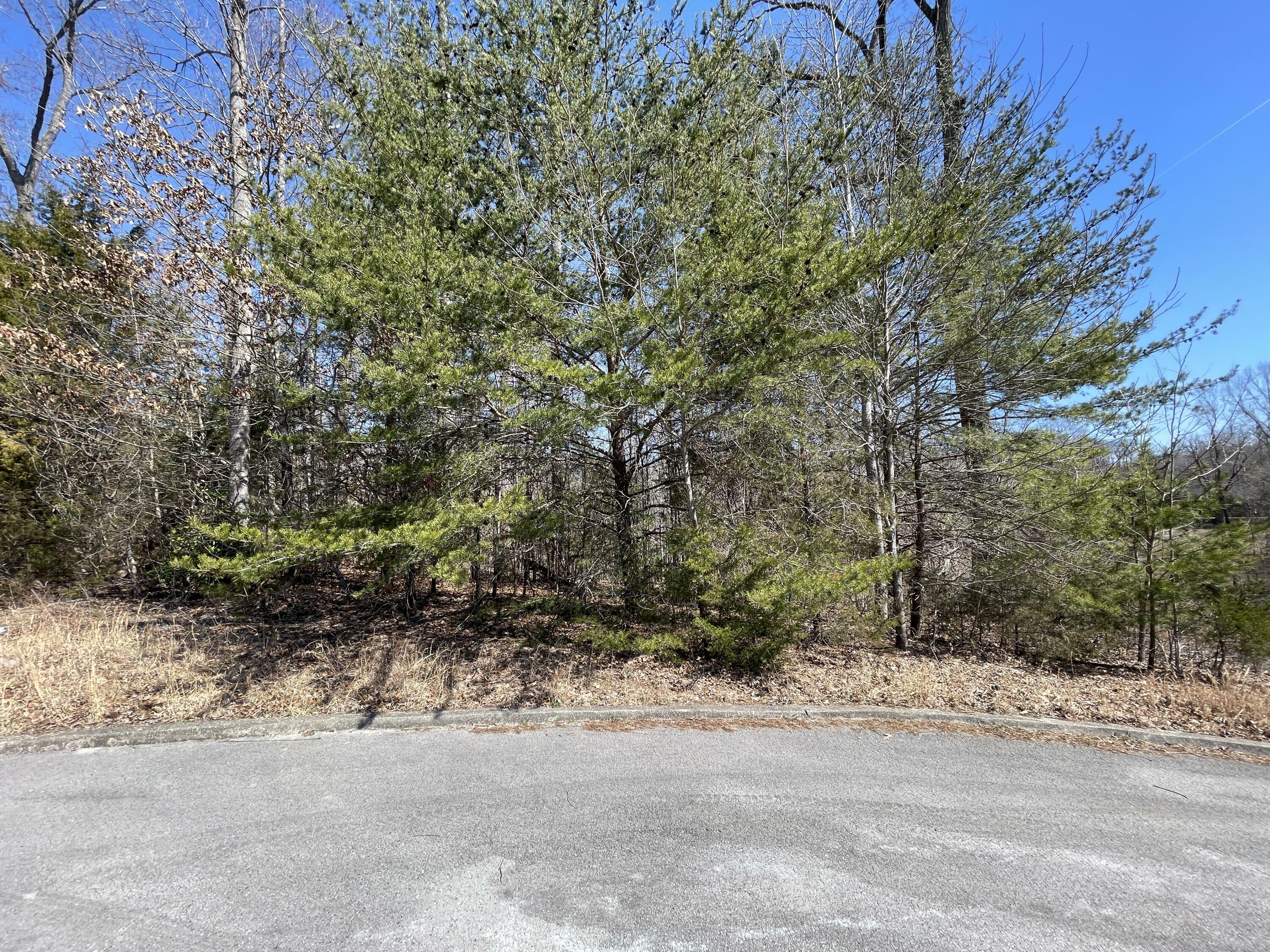 Property Photo: 745 Water Cliff Drive KY 42503
