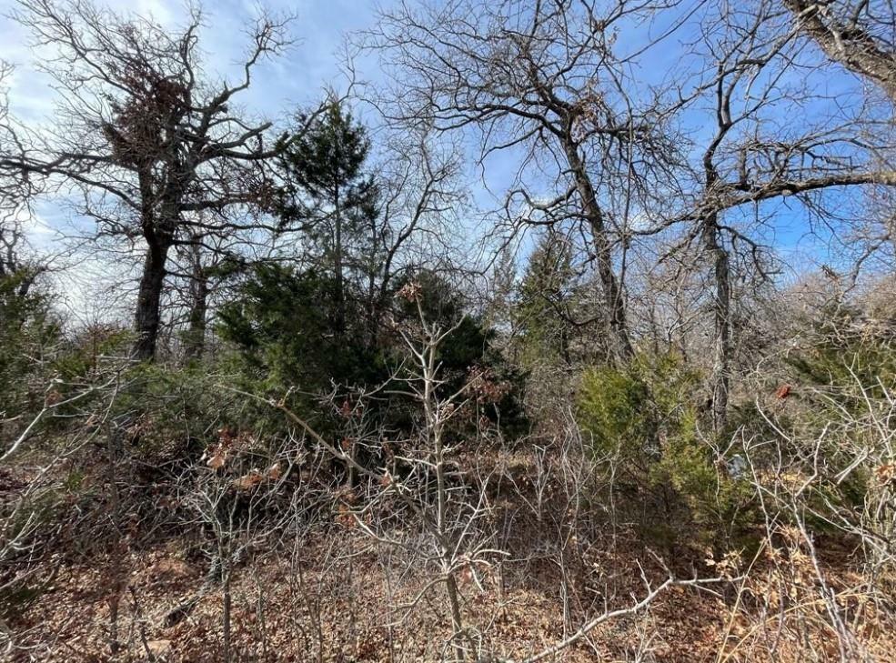 Property Photo:  0 Lot 14 Toad Road  OK 73045 