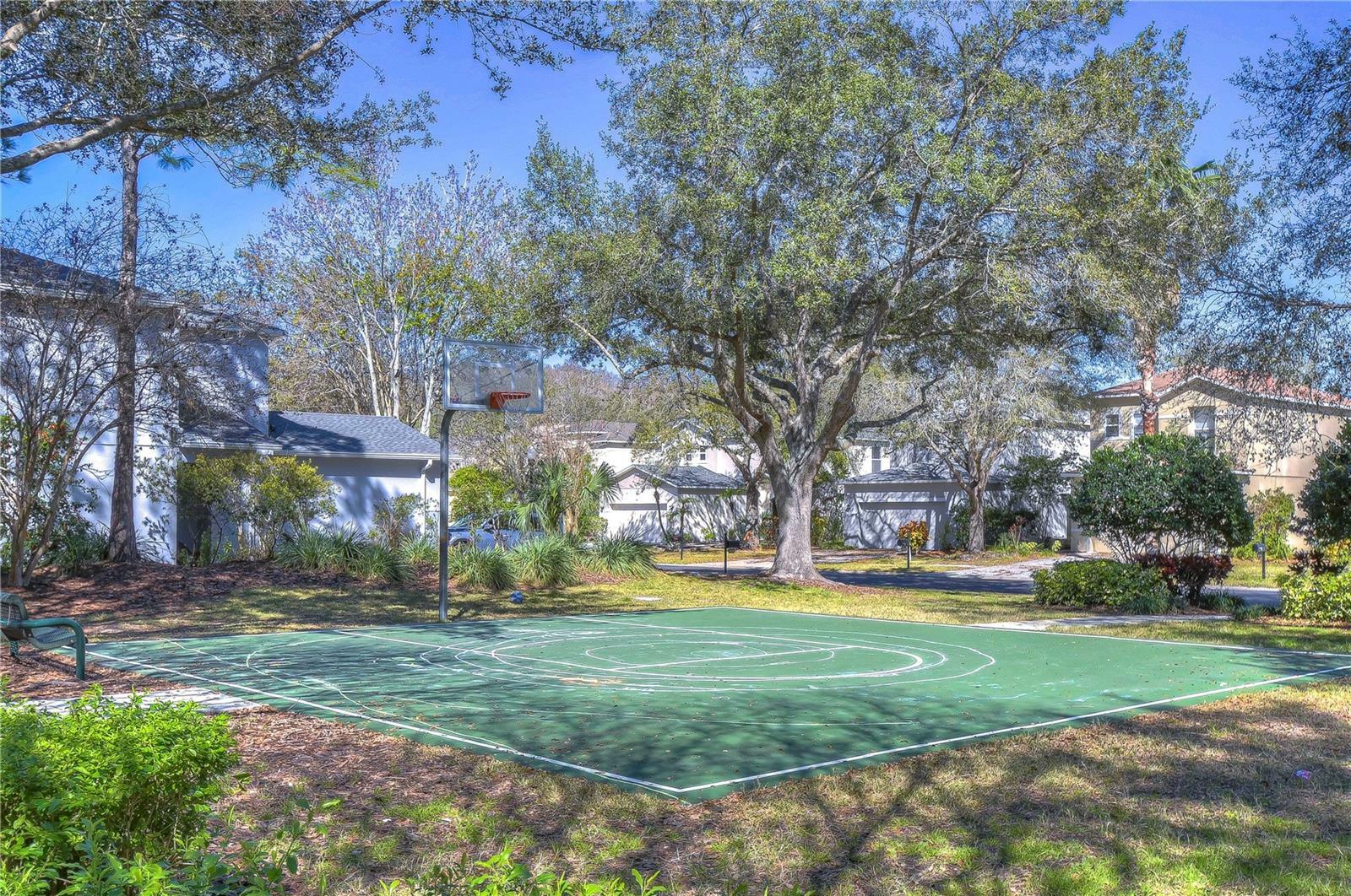 Property Photo:  2320 Spring Hollow Loop  FL 33544 