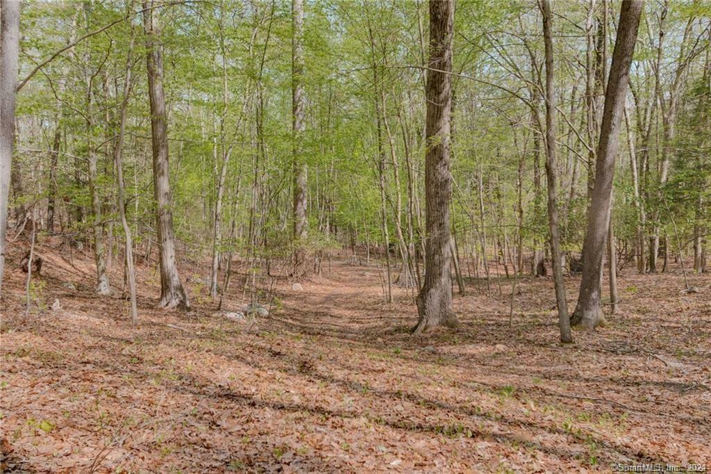 Property Photo:  47 Old Country Road  CT 06478 