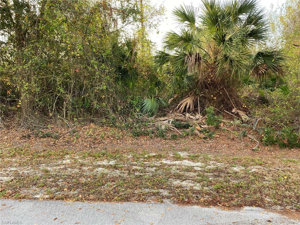 Property Photo:  1122 Artic St E  FL 33974 