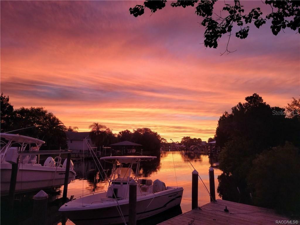 Property Photo: 11684 W Sunnybrook Court FL 34429