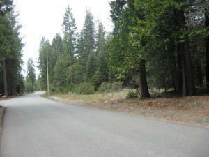 Property Photo:  Ritts Mill Rd  CA 96088 