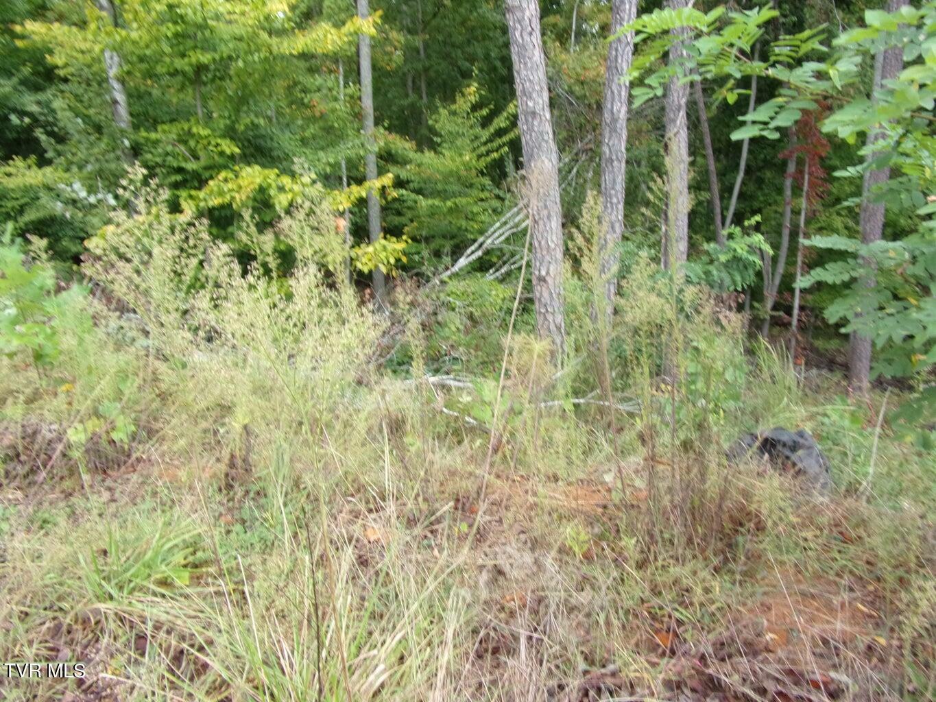 Property Photo:  Lot 25 Bridgewater Blvd  TN 37814 