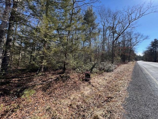 Property Photo:  Lot 18.6 Forestburgh Road  NY 12737 