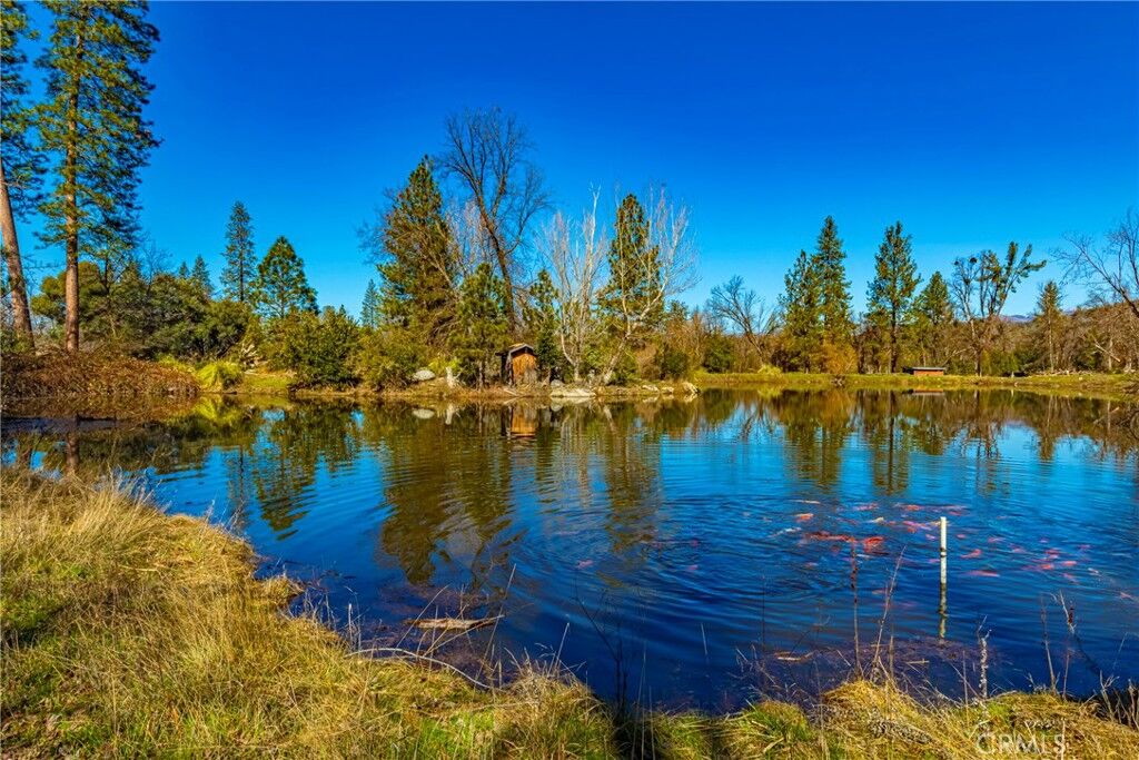 Property Photo: 0 4.53 Ac Wortham Road CA 93644